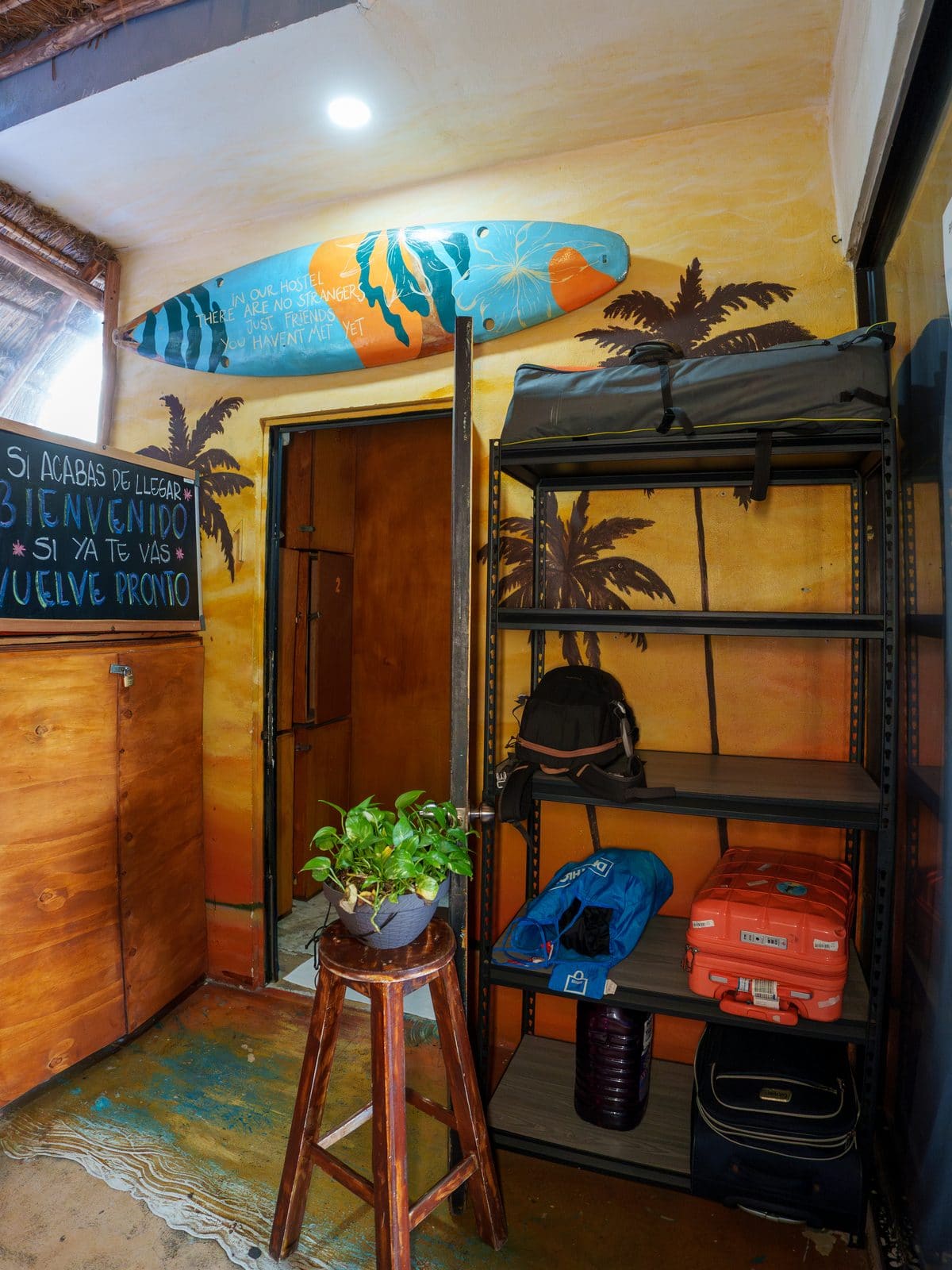 Surfboard art and luggage storage at Maui Hostels Playa del Carmen reception