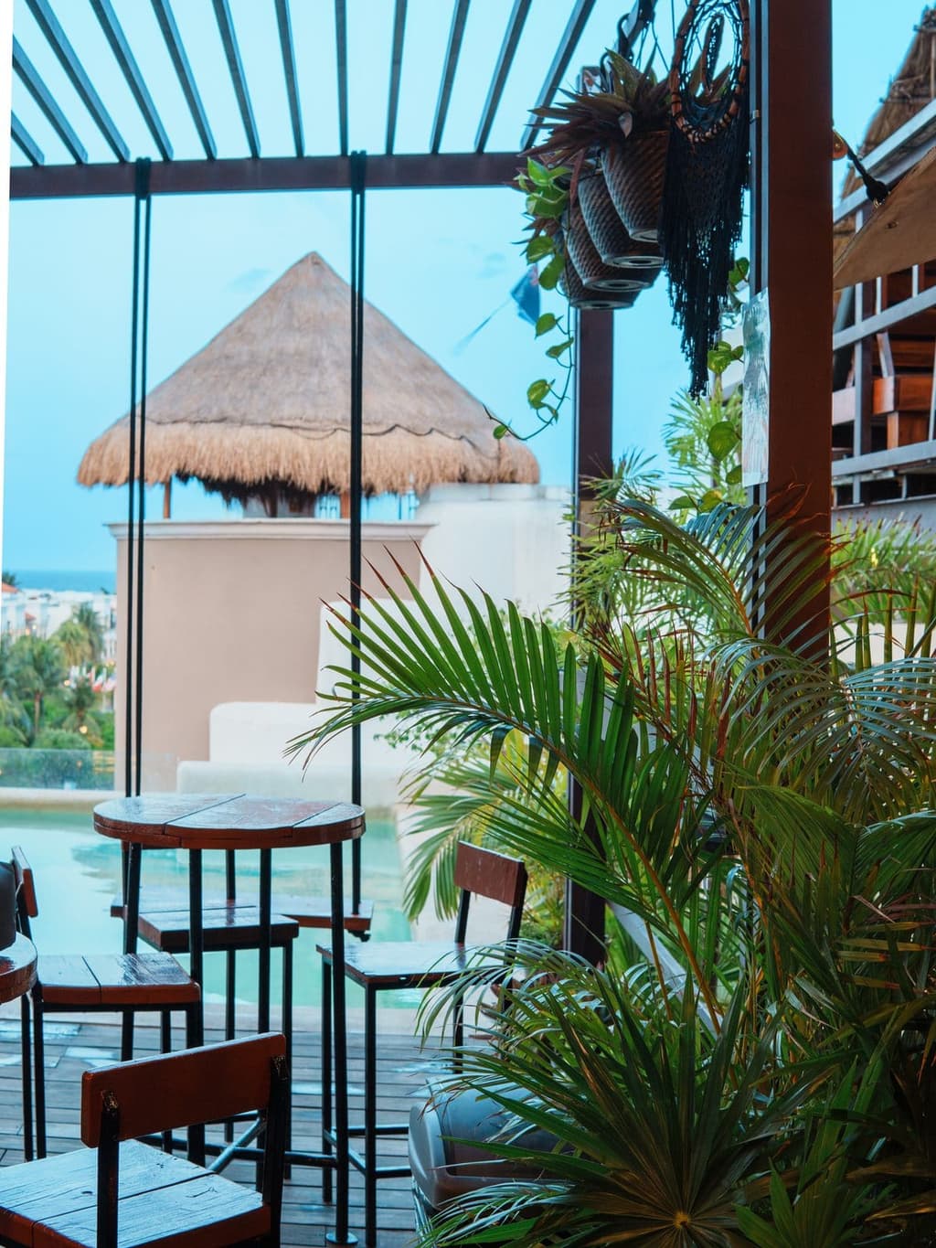 Maui Hostels rooftop pool with tropical palm vibes in Playa del Carmen, Riviera Maya