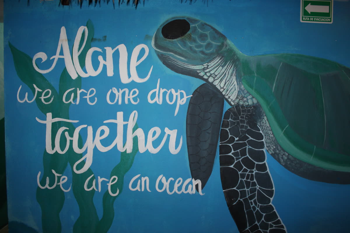 Maui Hostels Playa del Carmen – ‘we are one drop’ ocean mural in the common area