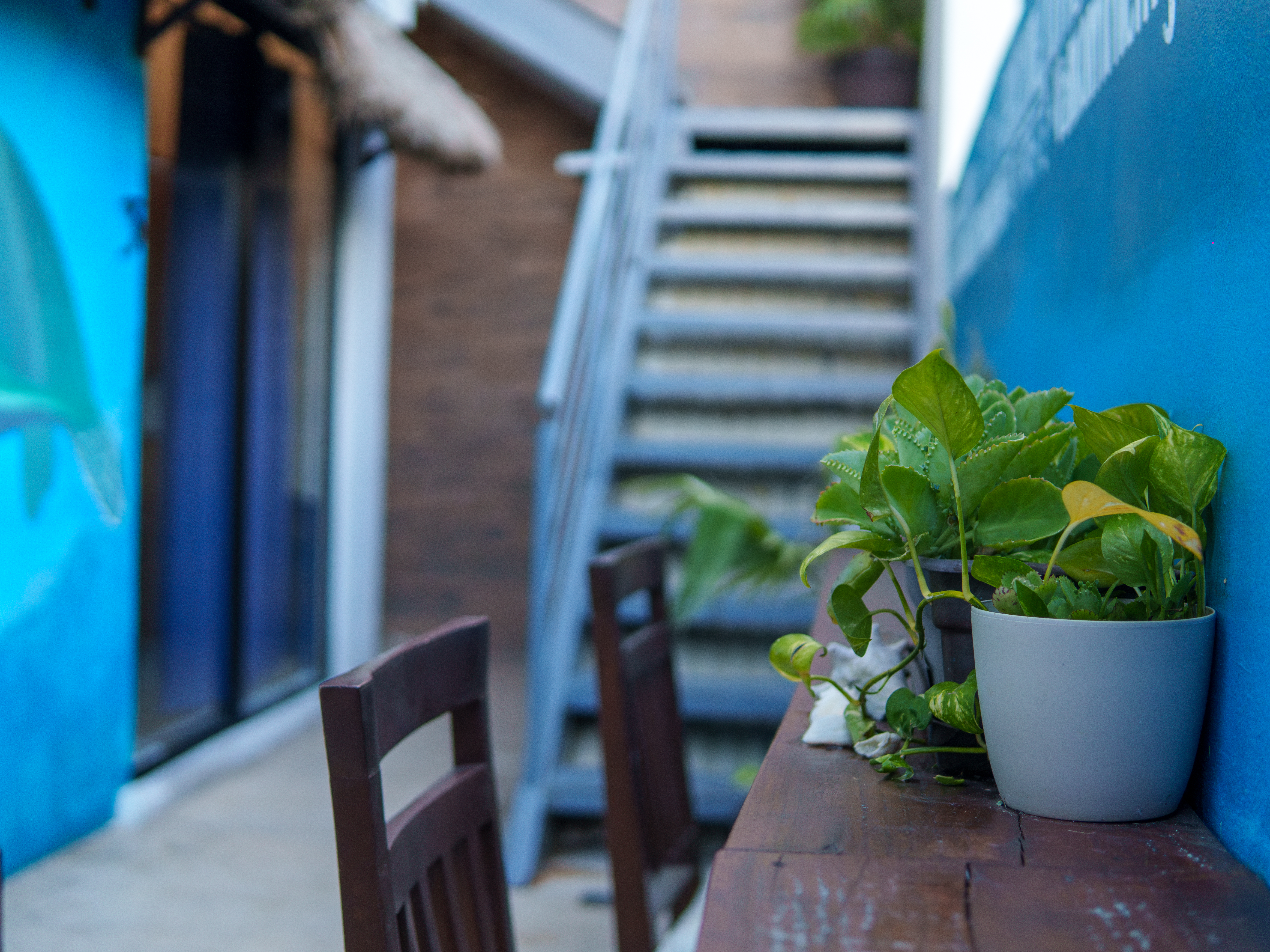 Playa del Carmen Hostel - Surroundings