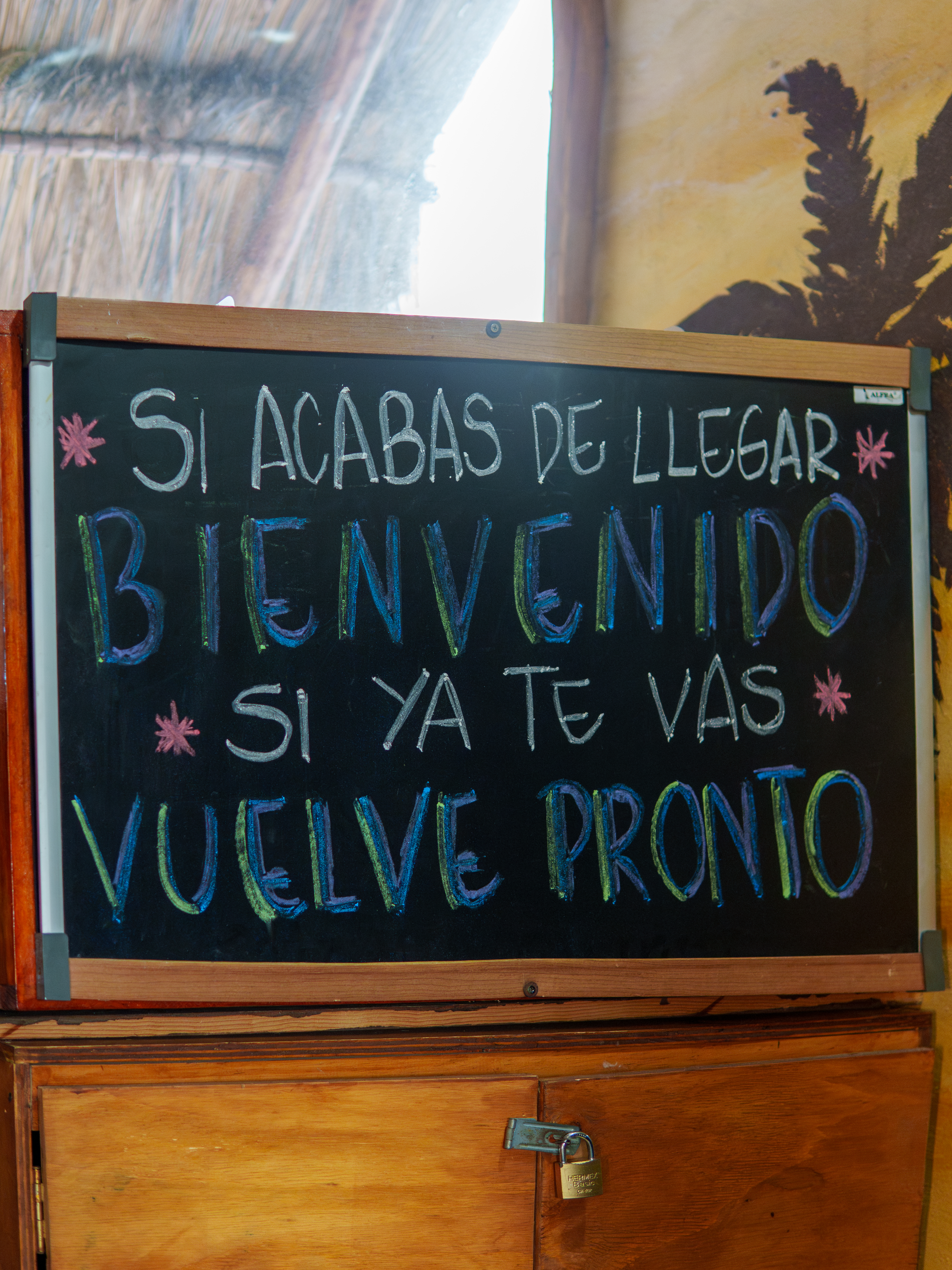 Playa del Carmen Hostel - Surroundings