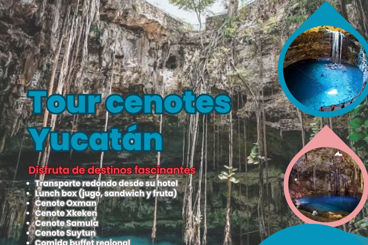 Maui Hostels tour experience – cenotes, excursions & group adventures 9