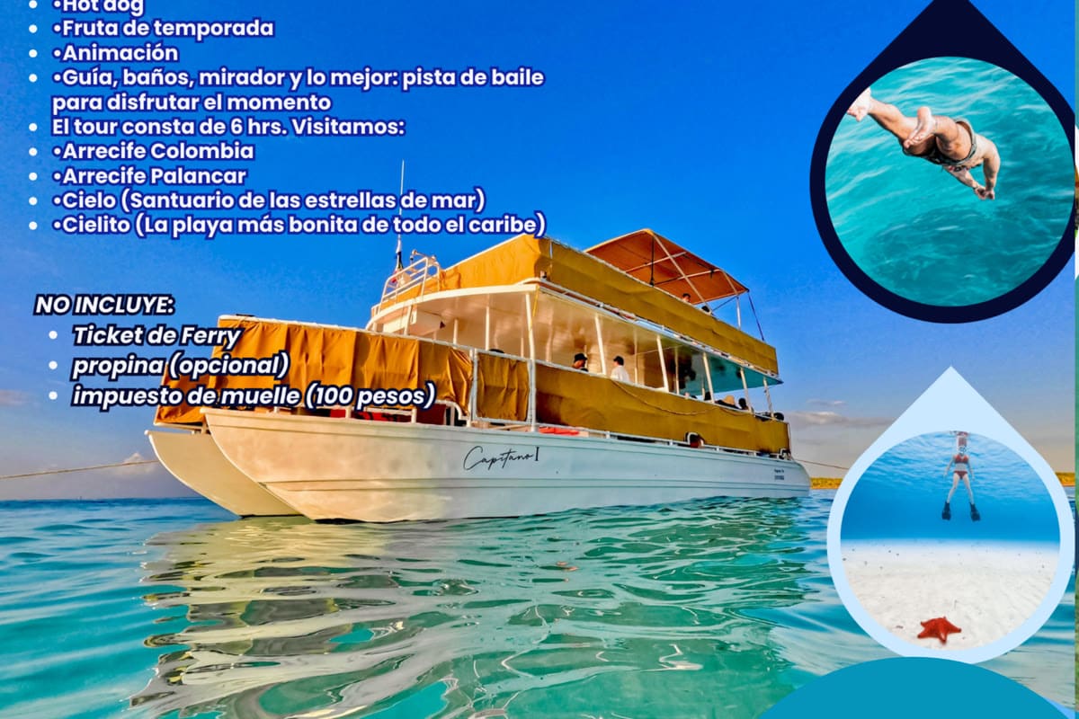 Maui Hostels tour experience – cenotes, excursions & group adventures 1