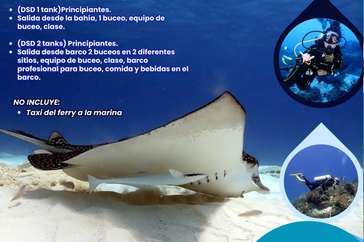Maui Hostels tour experience – cenotes, excursions & group adventures 3
