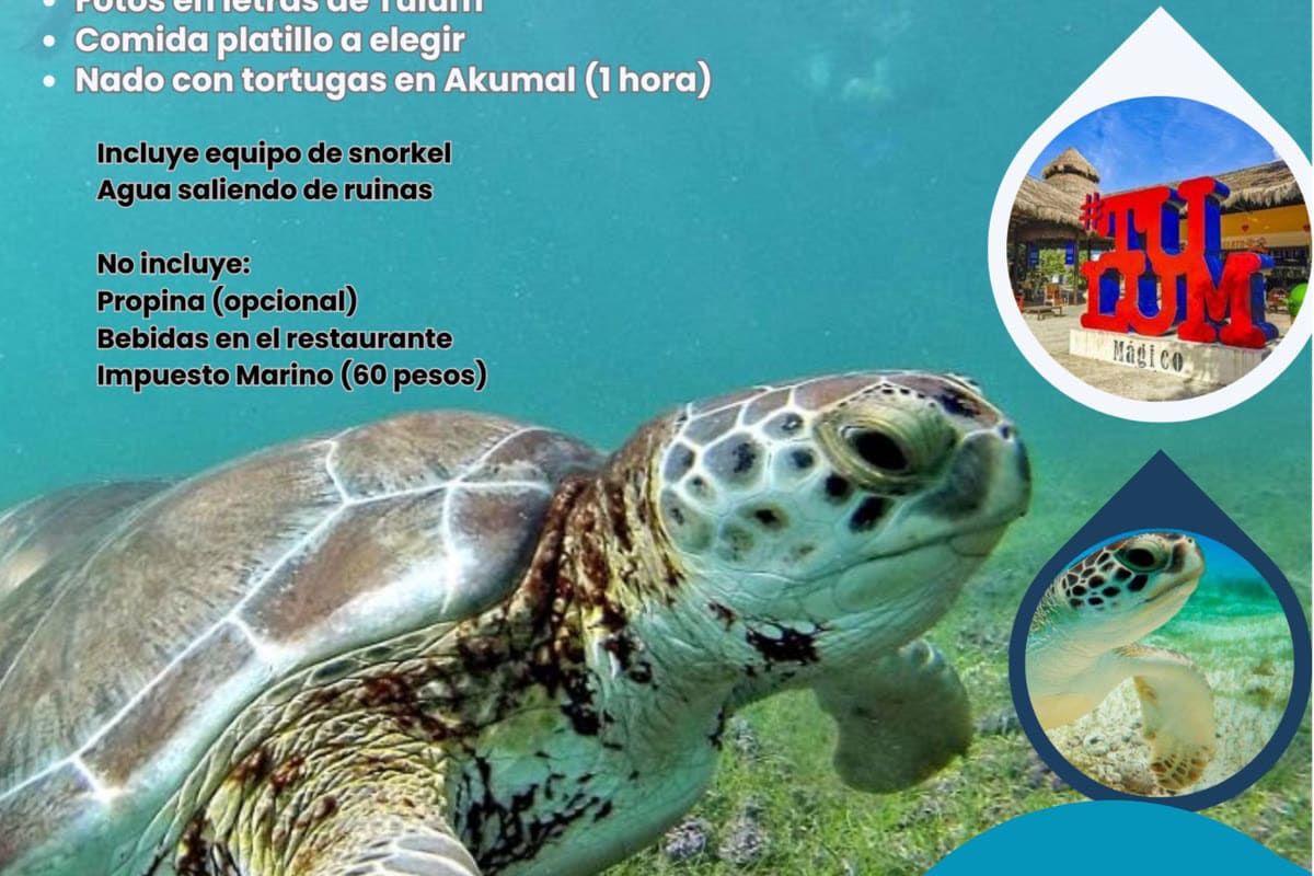 Maui Hostels tour experience – cenotes, excursions & group adventures 6