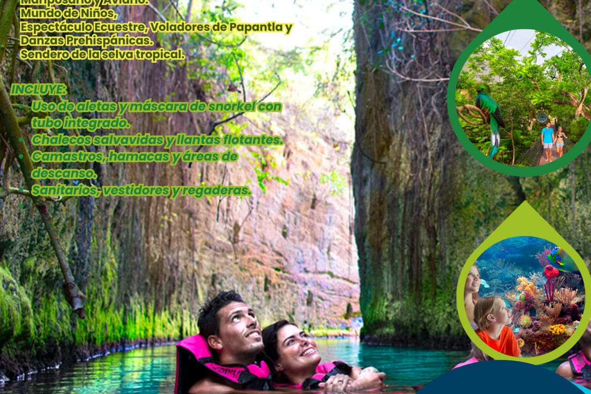 Maui Hostels tour experience – cenotes, excursions & group adventures 13