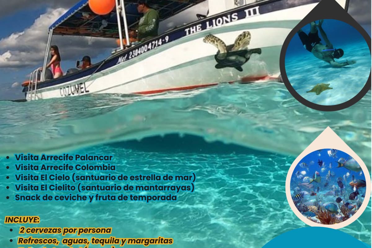 Maui Hostels tour experience – cenotes, excursions & group adventures 8