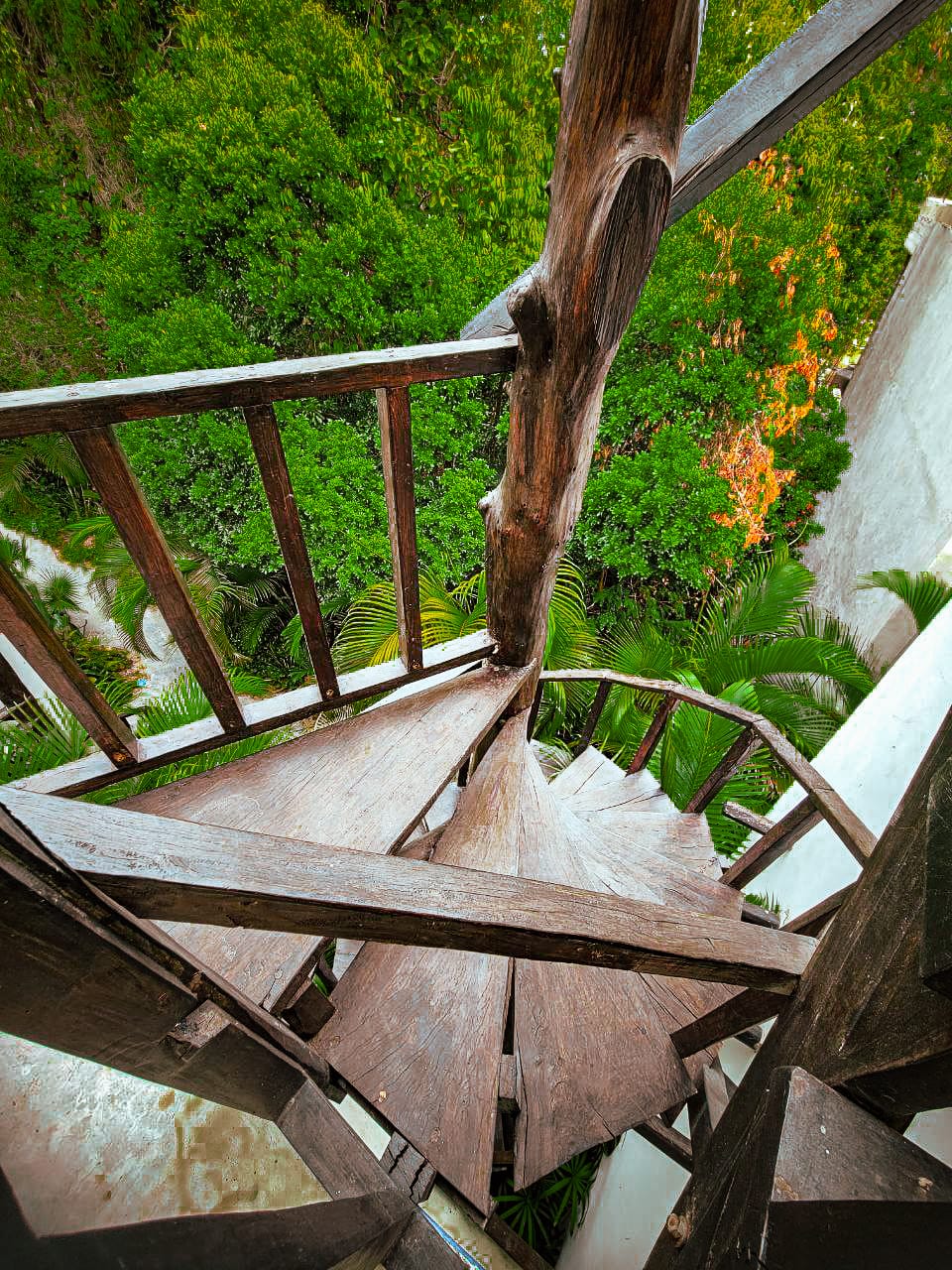 Tulum Hostel - Main View