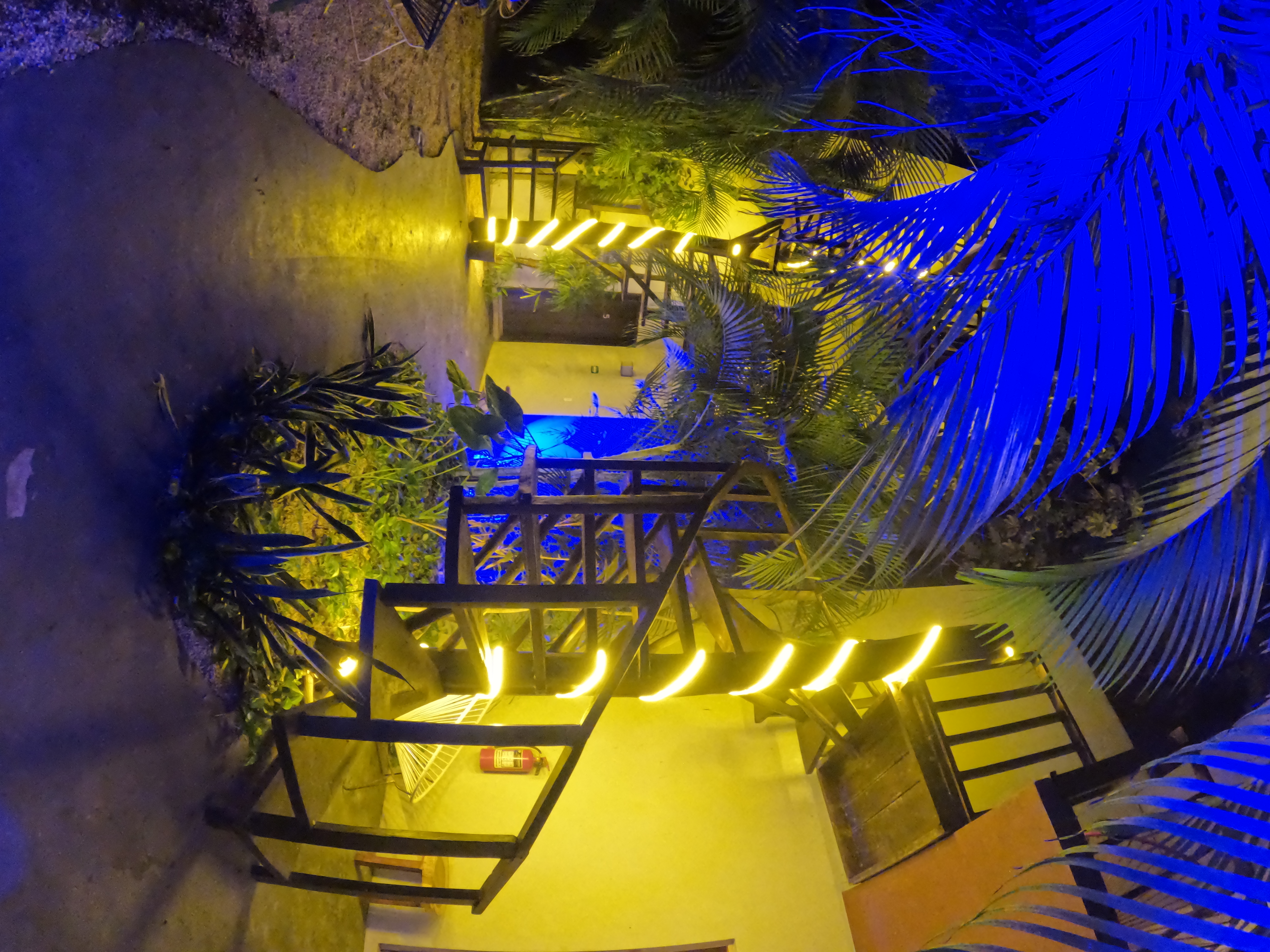 Tulum Hostel - Surroundings