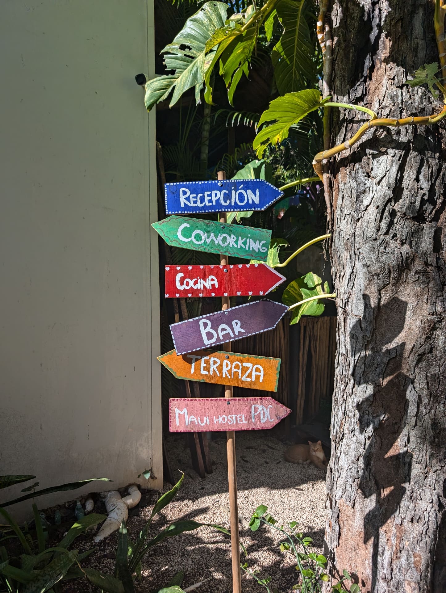 ¿Es Tulum Seguro en 2026? Guía Honesta para Mochileros
